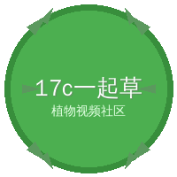17c一起草